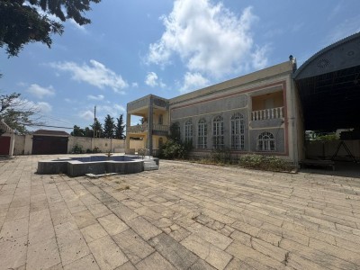 image 384851