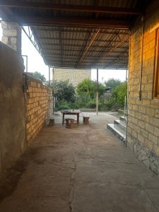 image 384900