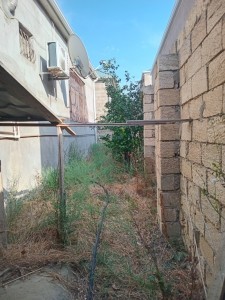 image 384968