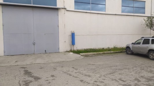 image 388245