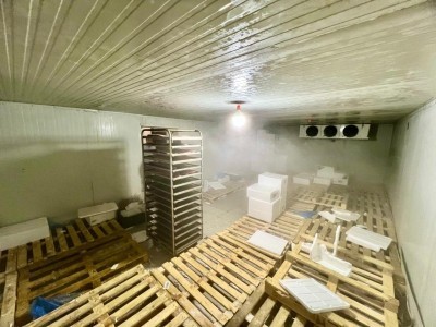 image 392456
