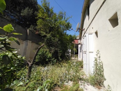 image 395229
