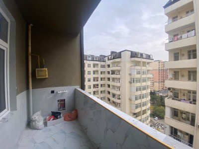 image 395372