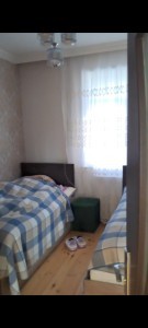 image 395410