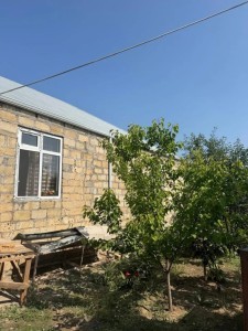 image 395455