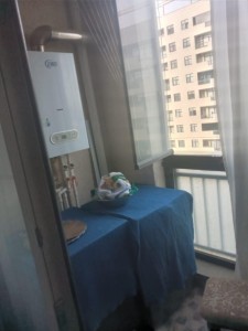 image 395653