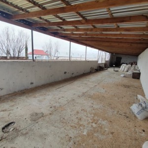 image 395836