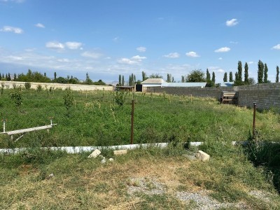 image 395836