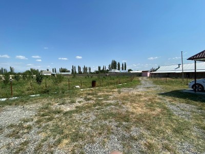 image 395836