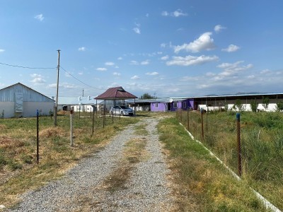 image 395836