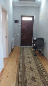 image 395847