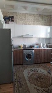 image 395847