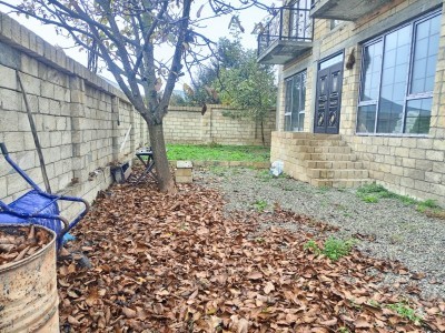 image 395972