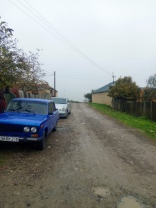 image 395972