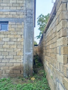 image 395972