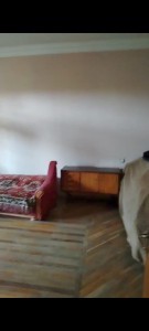 image 396478