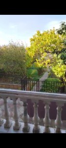 image 396478