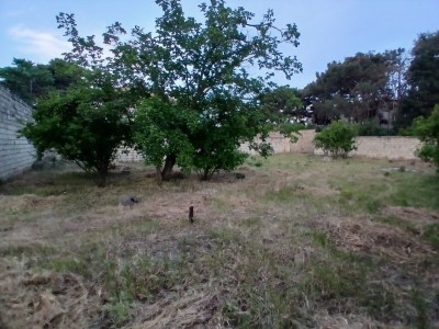 image 396821