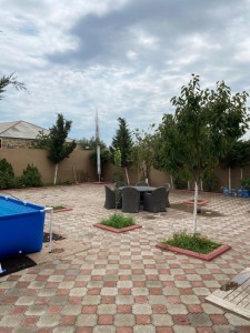 image 397001