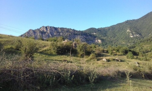 image 397050