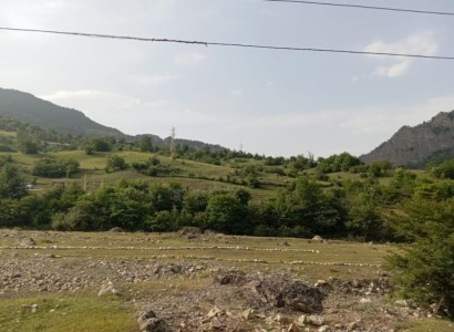image 397050