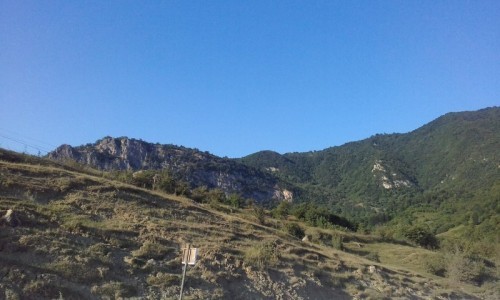image 397050