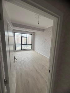 image 397091