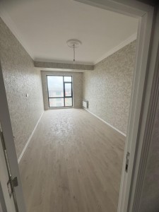 image 397091