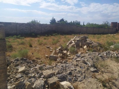 image 398199
