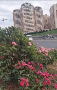 image 399072