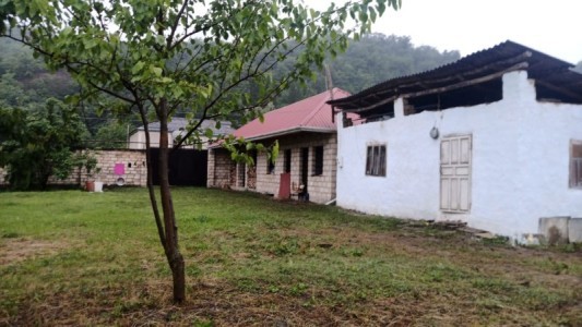 image 399451