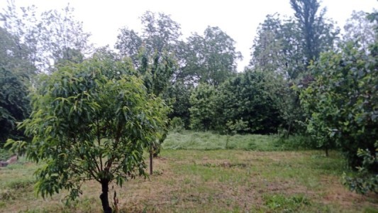 image 399451