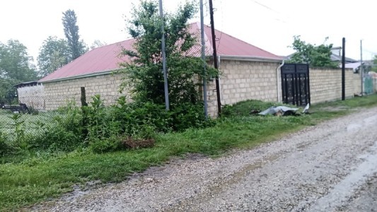 image 399451