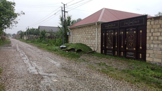 image 399451