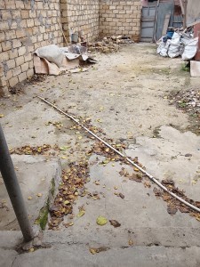 image 399721