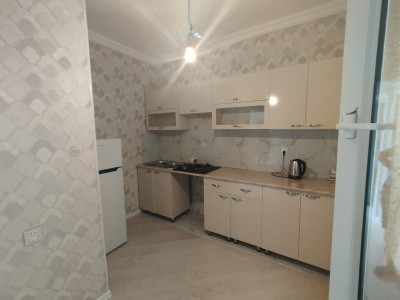 1 sot həyət / bağ evi
