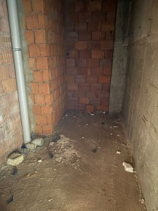 image 400832