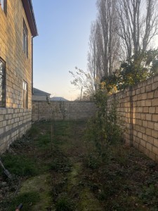image 402798