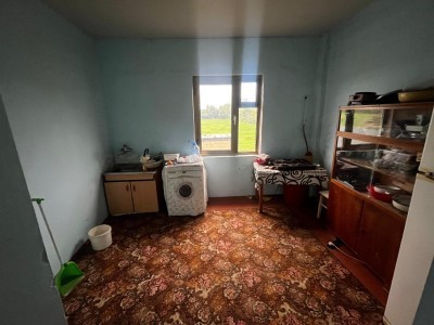 image 402835