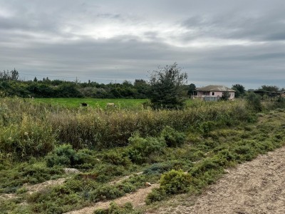 image 402835