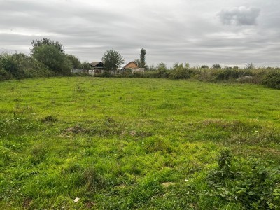 image 402835