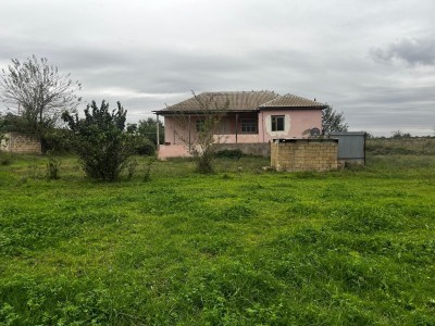 image 402835