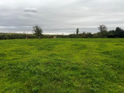 image 402835