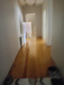 image 403299