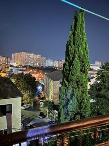 image 403784