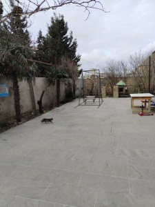 image 403838