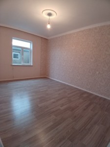 image 403845