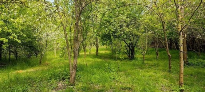 image 403981