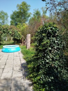 image 403981
