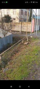image 404512